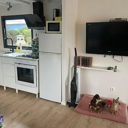 公寓 Welcome Direkt Am Wasser Mit Eigenem Steig By Interhome *