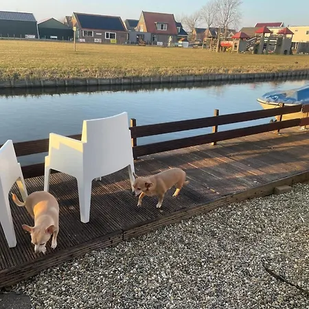 Welcome Direkt Am Wasser Mit Eigenem Steig By Interhome * 韦尔弗斯霍夫