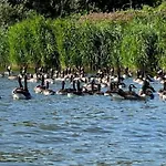 Welcome Direkt Am Wasser Mit Eigenem Steig By Interhome Wervershoof